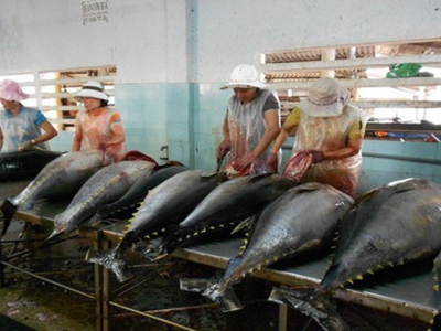 Gloomy prospects ahead for tuna exports to major markets