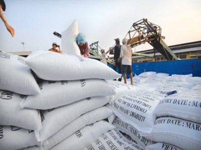 Vietnam exports huge rice haul over five-month period