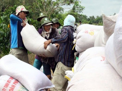 Vietnam exports nearly 3.5 million tonnes of rice in six months