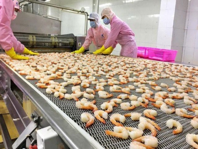 Shrimp exports increase 5.7 percent in first half of 2020