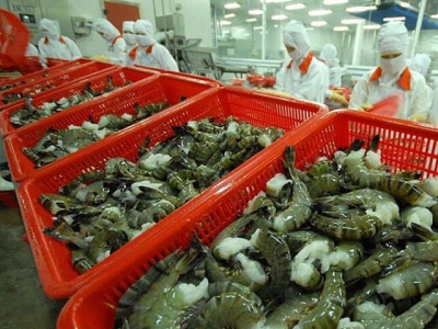Vietnamese shirmp sells well in US, China despite COVID-19