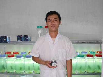 Startup with the Spirulina farming model