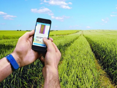 Top attention must be given to farmers regarding digital agriculture