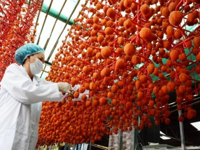 Renovate processing technology and expand agricultural market