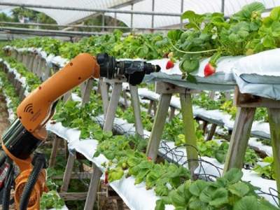 Nghiên cứu, chế tạo thành công robot thu hái hoa quả