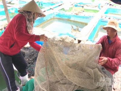 Environmental pollution of offshore fish farms in urgent need of handling