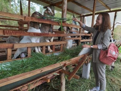 Tra Vinh - Moving toward agriculture adapting to climate change