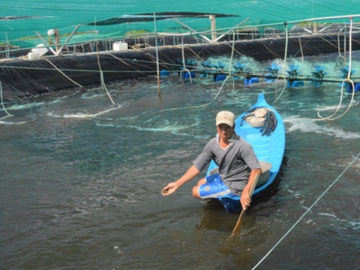 Rice production and aquaculture have the strongest growth rates