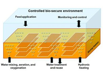 Công Nghệ Ngăn Chặn Vi Khuẩn Vibrio