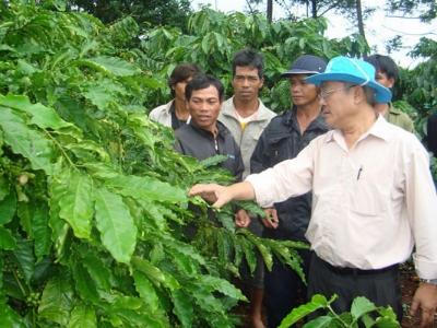 Phấn đấu trên 70% hộ nông dân hiểu biết và áp dụng IPM