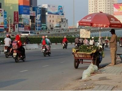 Cam sành giá siêu rẻ ở Sài Gòn bị nghi hàng Trung Quốc