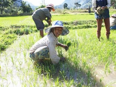 Học kinh nghiệm chọn rẫy của người Chứt