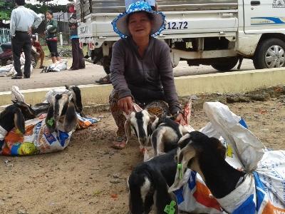 167 hộ phát triển mô hình con nuôi đặc sản