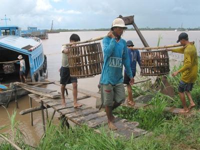 Đẩy mạnh thực hành trách nhiệm xã hội trong ngành thủy sản