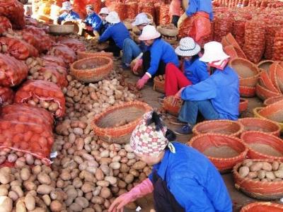 Tràn lan nông sản Trung Quốc gắn mác made in Viet Nam