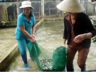 Tích cực sản xuất giống, bảo vệ và phát triển thủy sản hồ chứa