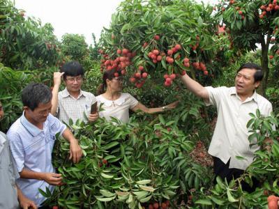 Hội Nông dân VN: Đổi mới, tự tin cùng nông dân trên đường hội nhập