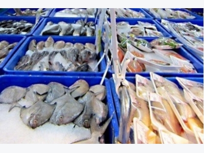 Seafood exporters fear new US, EU regulations on illegal fishing