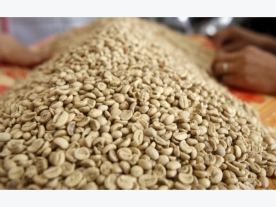 Mid-Nov coffee harvest expected in Vietnam; Indonesia quiet