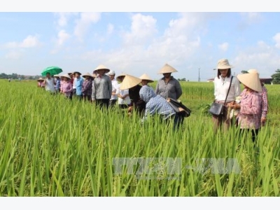 Đầu tư vào nông nghiệp sẽ được hưởng nhiều ưu đãi thuế