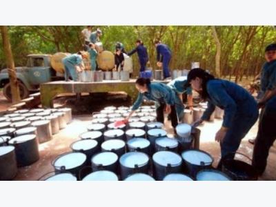 Rubber exports to EU encounter difficulties