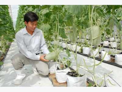 Tạo đà cho rau củ, quả tươi Việt Nam vào EU