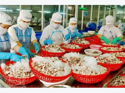South Korea likes Vietnamese squid and octopus