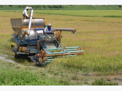 Sustainable agriculture development in ASEAN integration