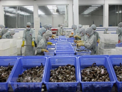 Shrimp by-products called gold mine for processing industry