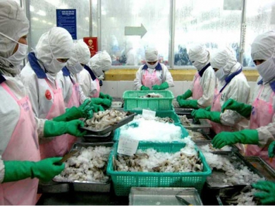 Domestic seafood sales hindered by administrative procedures