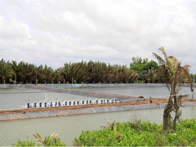 Tiền Giang develops saltwater, brackish-water aquaculture