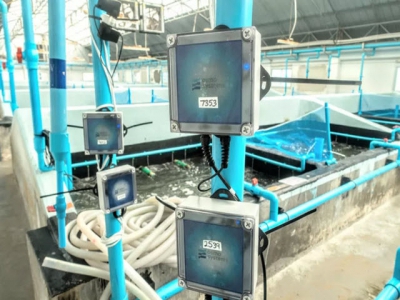 Global Aquaculture Innovation Award finalist: Osmo Systems