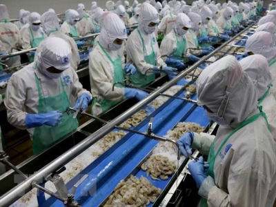 Nine-month seafood exports estimated at 6.4 billion USD