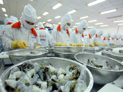 VN seafood companies face barriers in home market