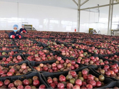 Central Highlands largest fruit, vegetable processing centre opened