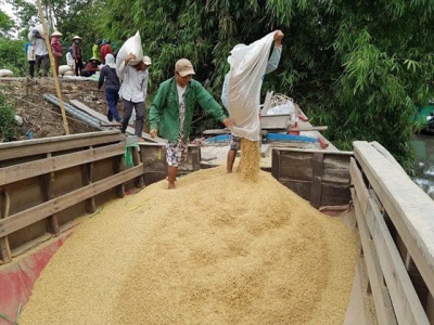 Rice exports to Philippines soar