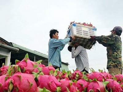 Agricultural exports rack up US$26 billion in eight months