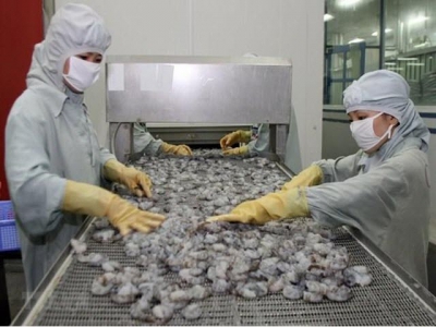 Shrimp export falls 8.1 percent in eight months