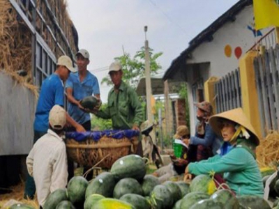 Vietnams veggies and fruits can no longer cross the border to enter China