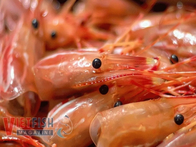 CầnThơ build a factory to produce food ingredients from shrimp shells