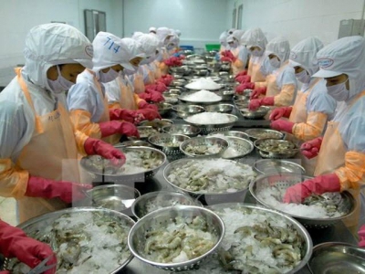 Việt Nam shrimp exports to South Korea to edge up - VASEP