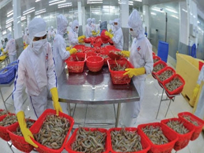 Shrimp exports increased by 19% in June