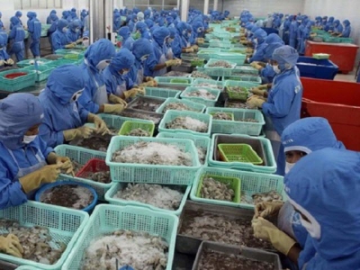 Vietnamese seafood exports increase after EVFTA comes into force