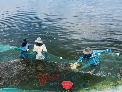 Huế - Shrimp farmers refuse stocking amid fear of loss