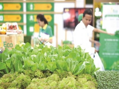 Vietnams vegetables, fruits ready to enter choosy markets