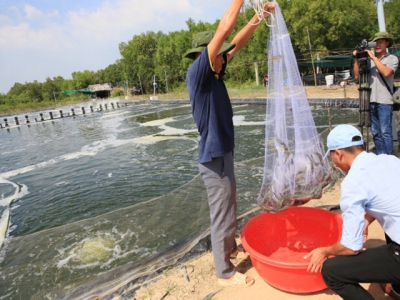 Tìm giải pháp thích ứng biến đổi khí hậu