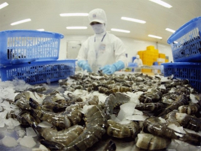 Korea increases in importing processed black tiger shrimp from Vietnam