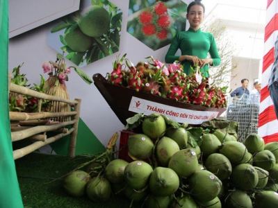 Thanh long, bưởi, dừa rộng cửa sang EU