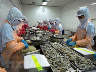 Vietnamese shrimp export to the US up 29% in H1