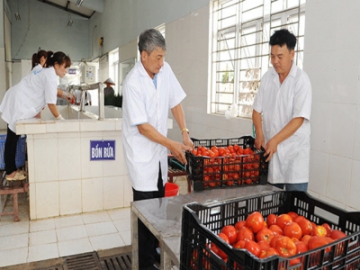 Agriculture, a main pillar of Hà Nộis economy